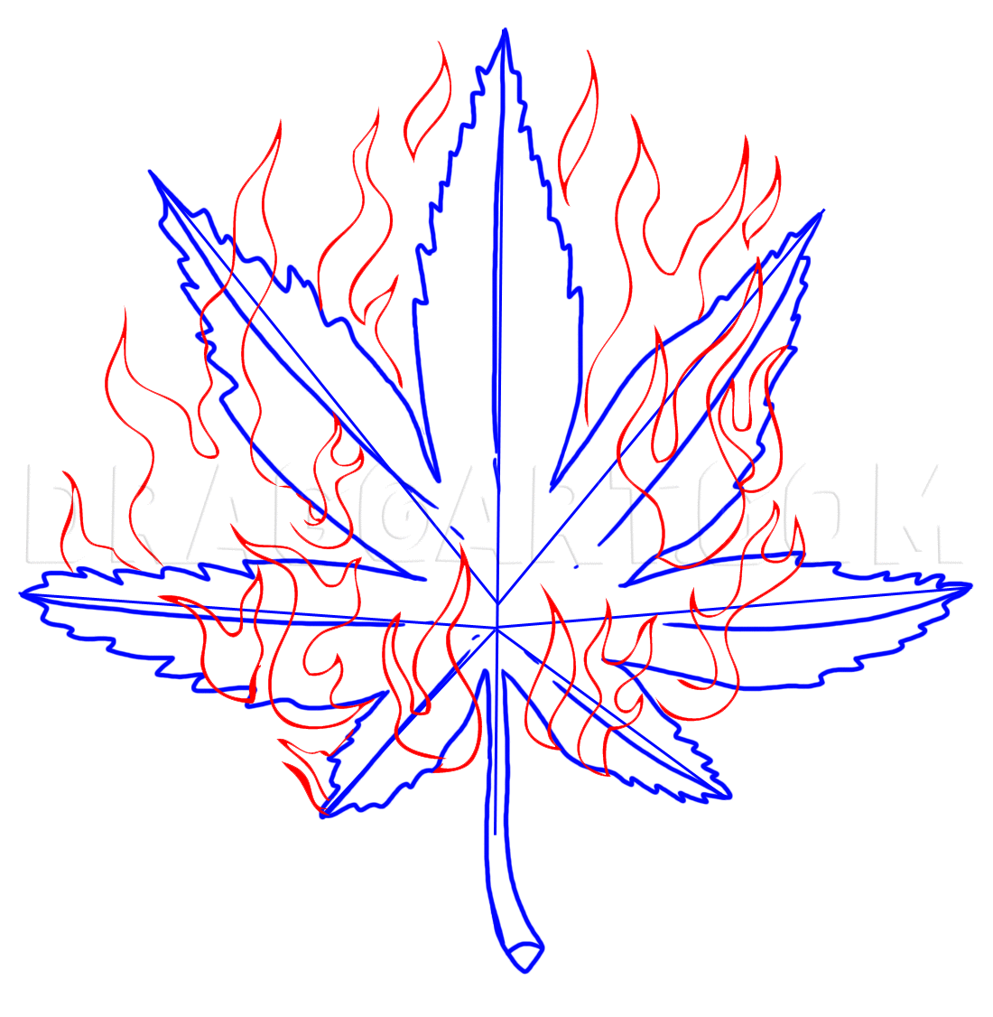 How To Draw A Pot Leaf Step by Step Drawing Guide by Dawn dragoart.com