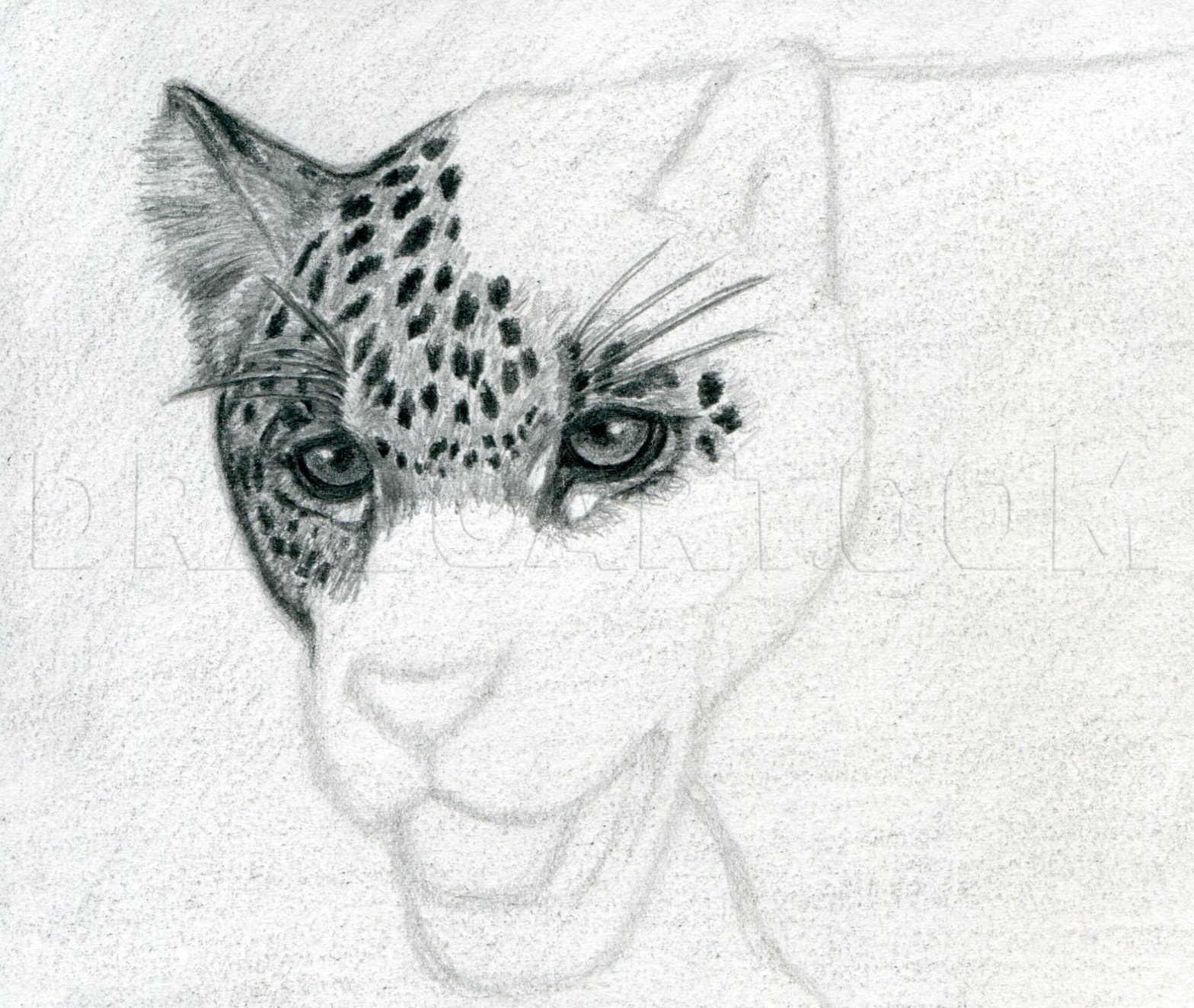 easy jaguar head drawing