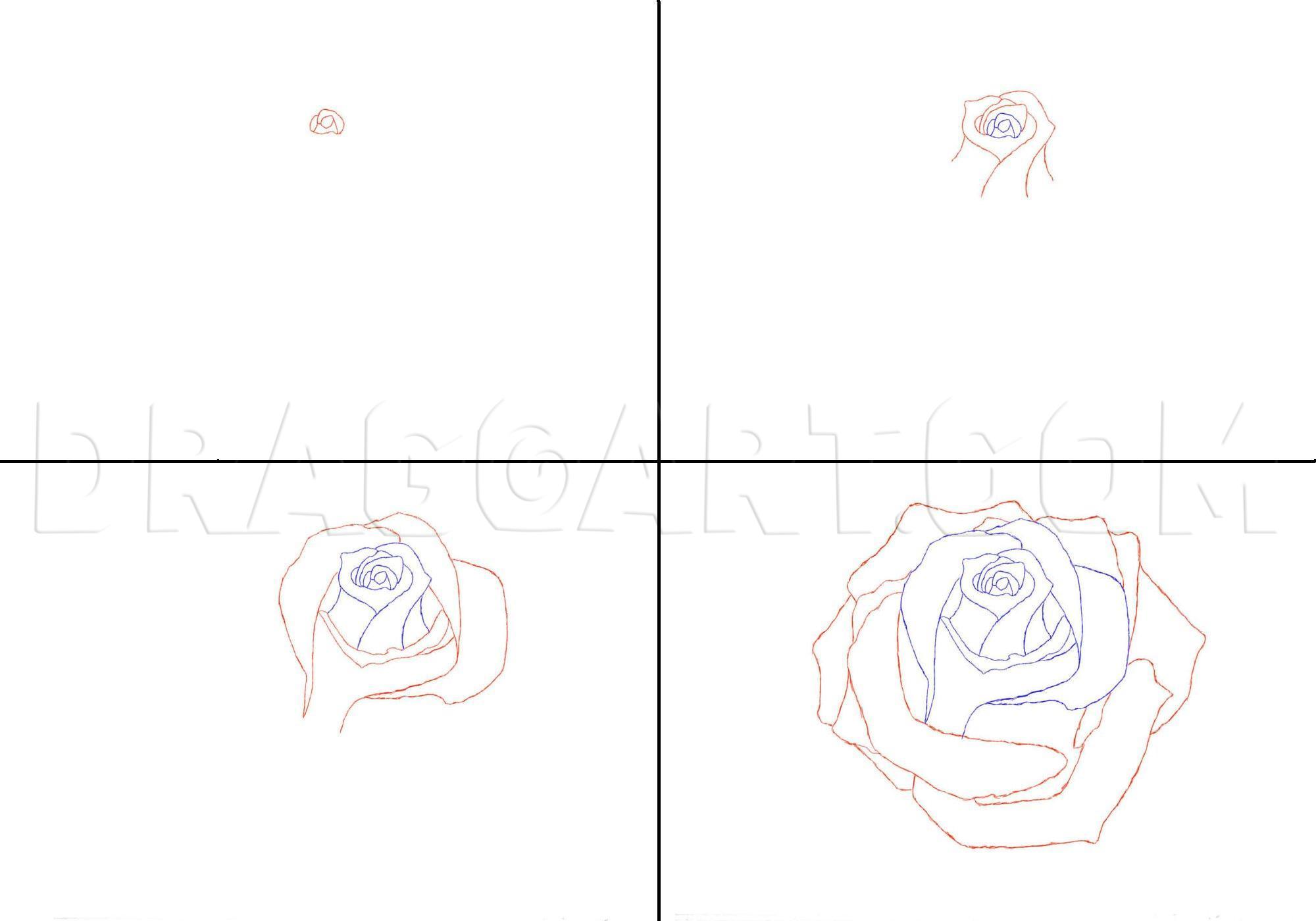 how to draw a rose with pencil