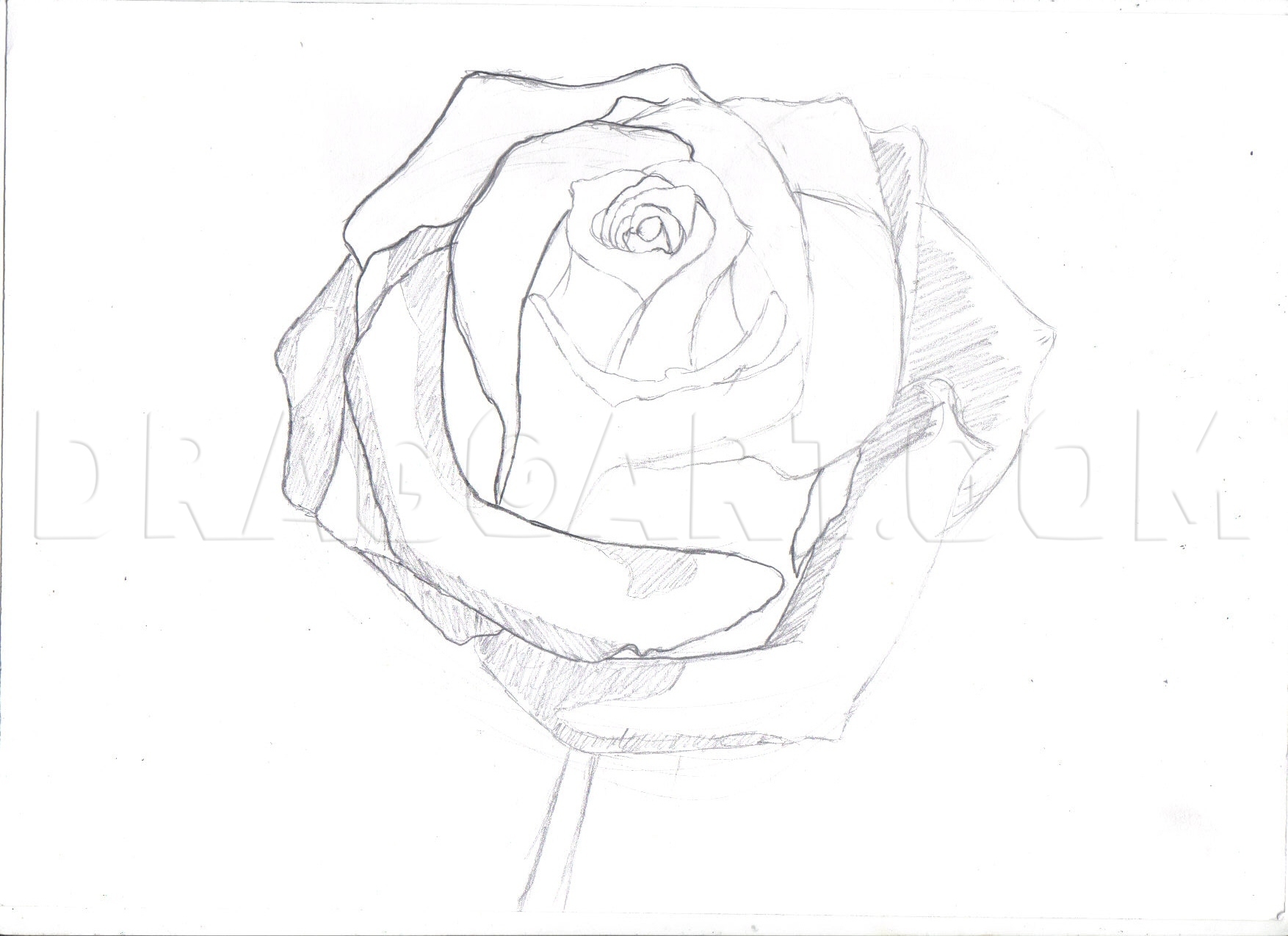 Featured image of post Shading Pencil Easy Rose Drawing / Something, to blending makes it easy to learn how to draw with a pencil.