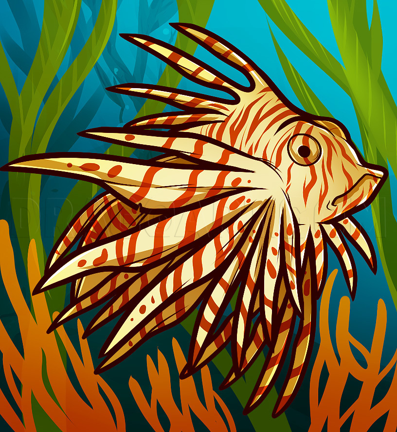 How To Draw A Lionfish Easy Step By Step