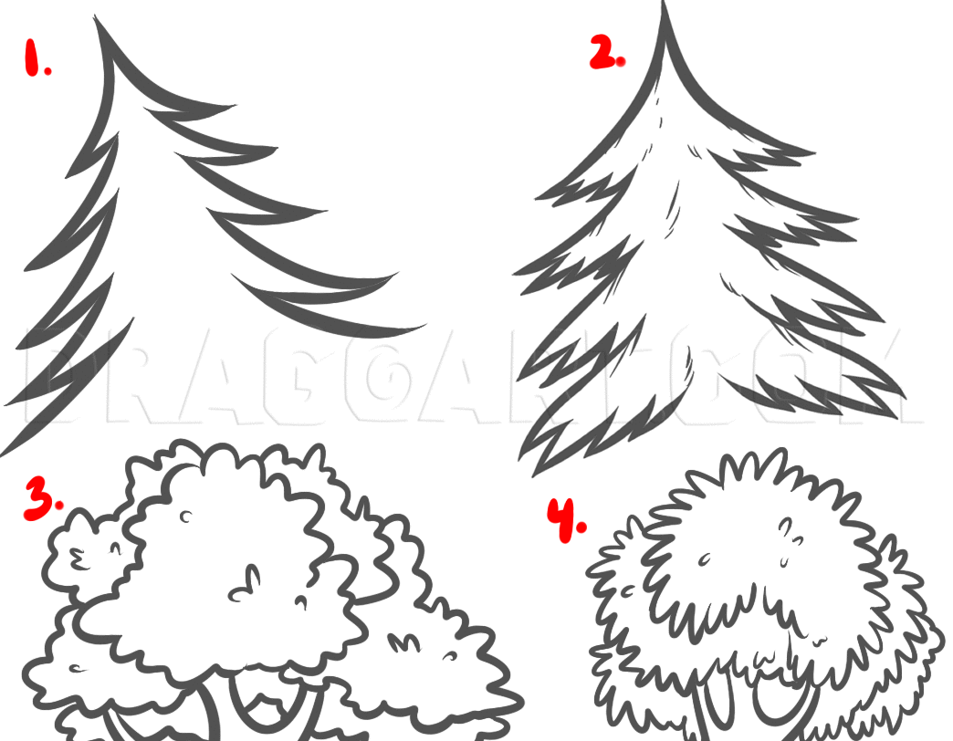 How To Draw Forests, Forest Backgrounds, Step by Step, Drawing Guide