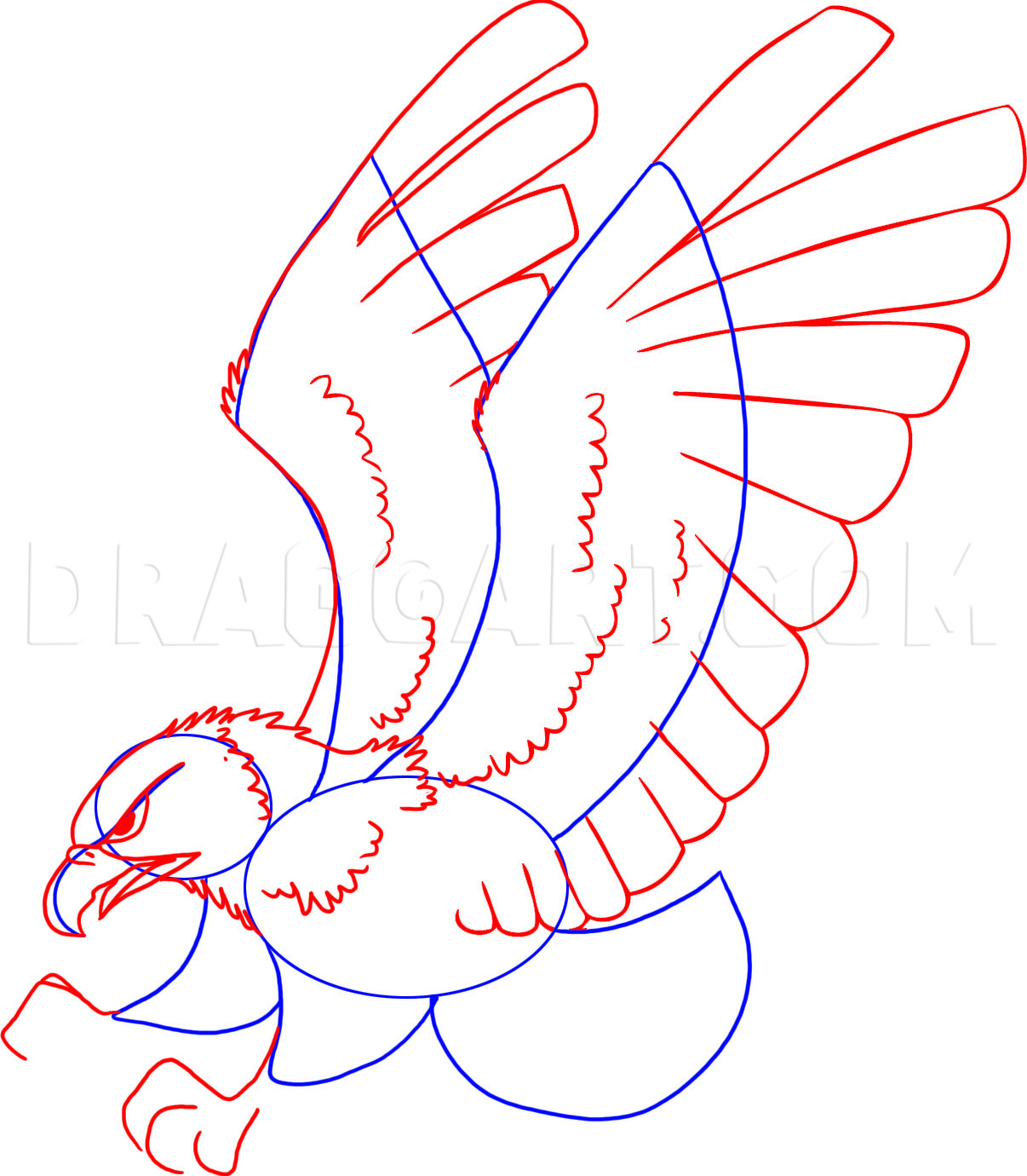 how to draw a hawk step by step for kids