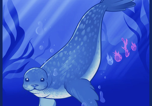 how to draw sea animals