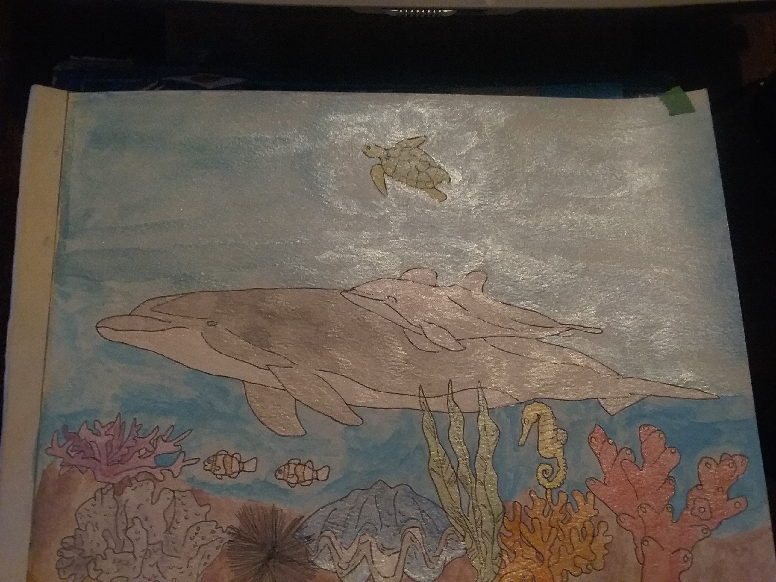 Dolphins Swimming In Coarl Reef Drawing By Countrygal1995 Dragoart dolphins-swimming-in-coarl-reef-drawing-by-countrygal1995-dragoart