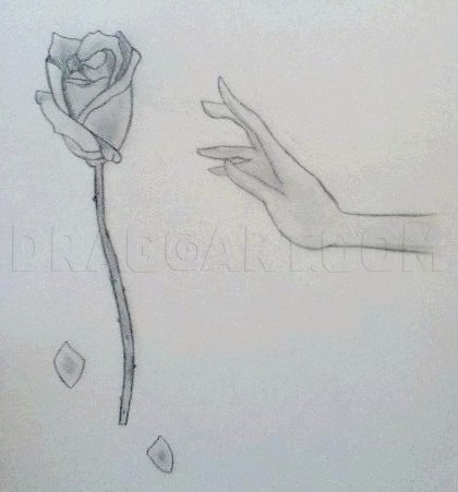 How To Draw A Hand Reaching For A Rose Step By Step Drawing Guide By Xxsoulsurvivorxx Dragoart Com