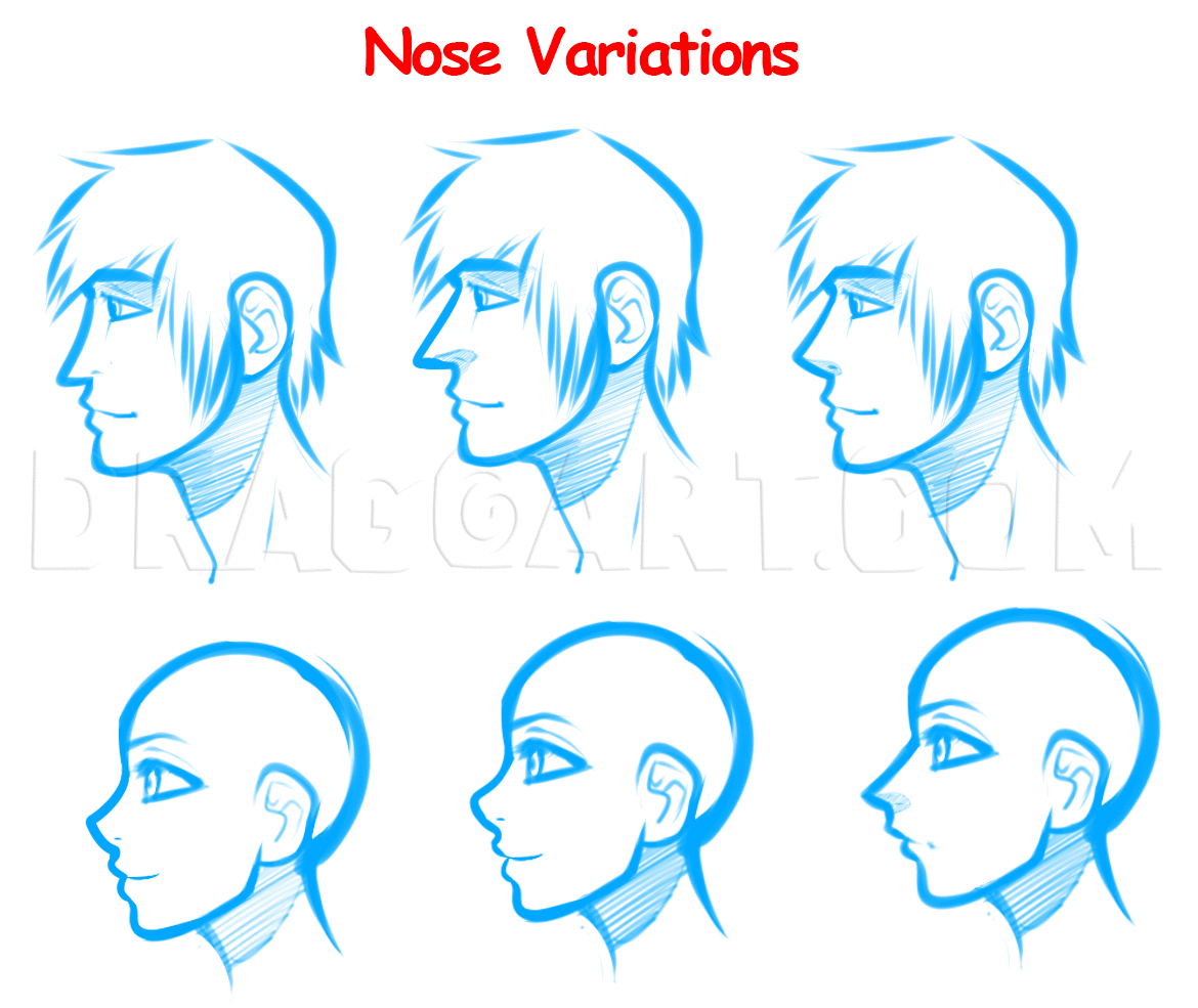 Anime Nose Shapes