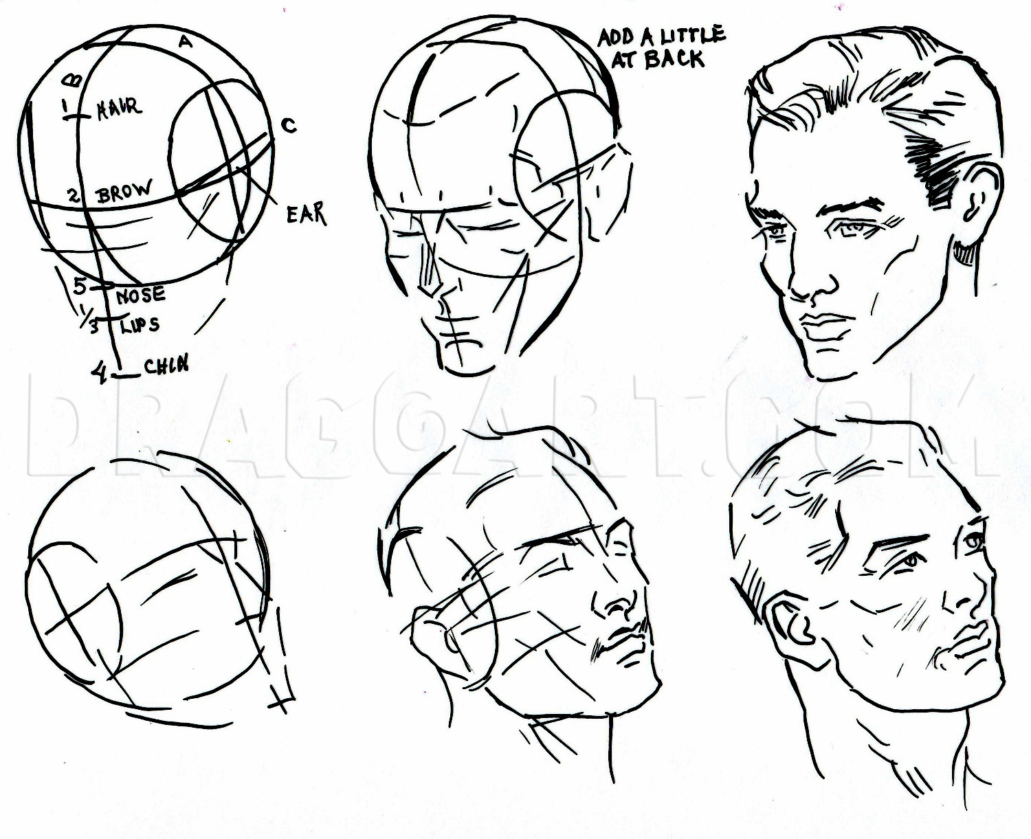 Learn How to Draw: Features of the Face