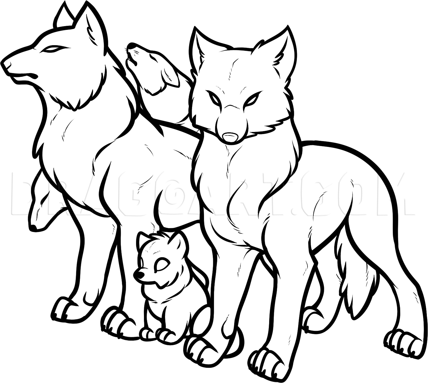 how to draw a realistic wolf family