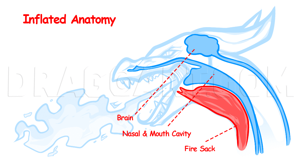 dragon head breathing fire drawing