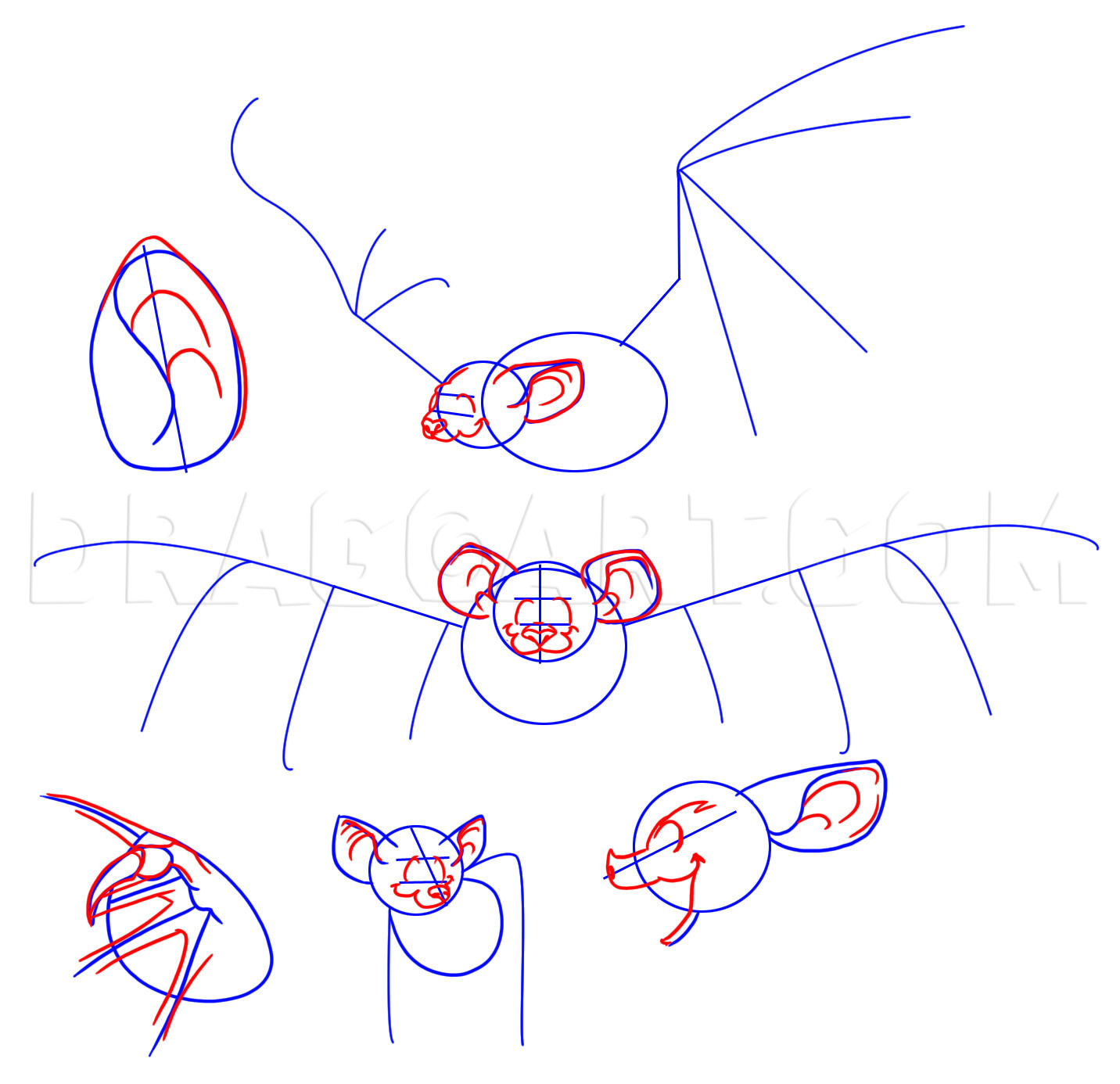 How To Draw A Cartoon Bat, Step by Step, Drawing Guide, by Dawn - DragoArt