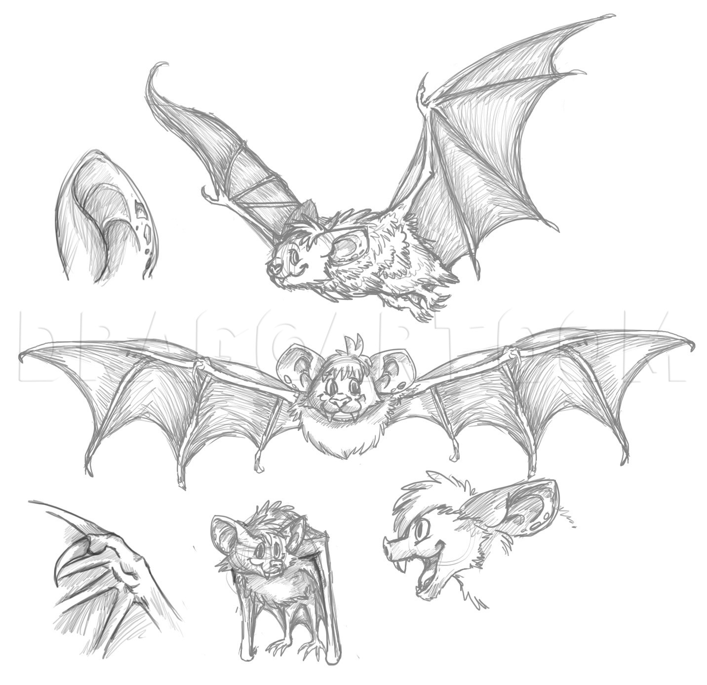 How To Draw A Cartoon Bat, Step by Step, Drawing Guide, by Dawn - DragoArt