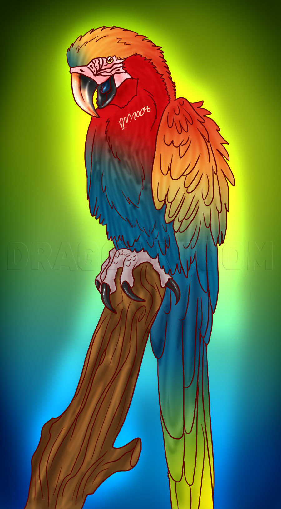 How To Draw A Parrot, Step by Step, Drawing Guide, by Dawn | dragoart.com