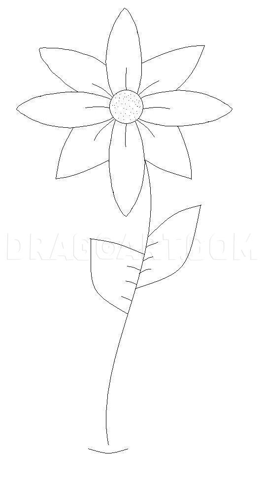 how to draw a flower for beginners step by step