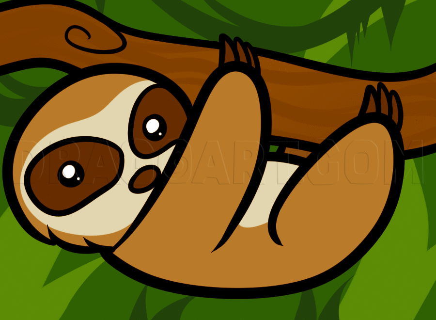 Download How To Draw A Sloth For Kids by Dawn | dragoart.com