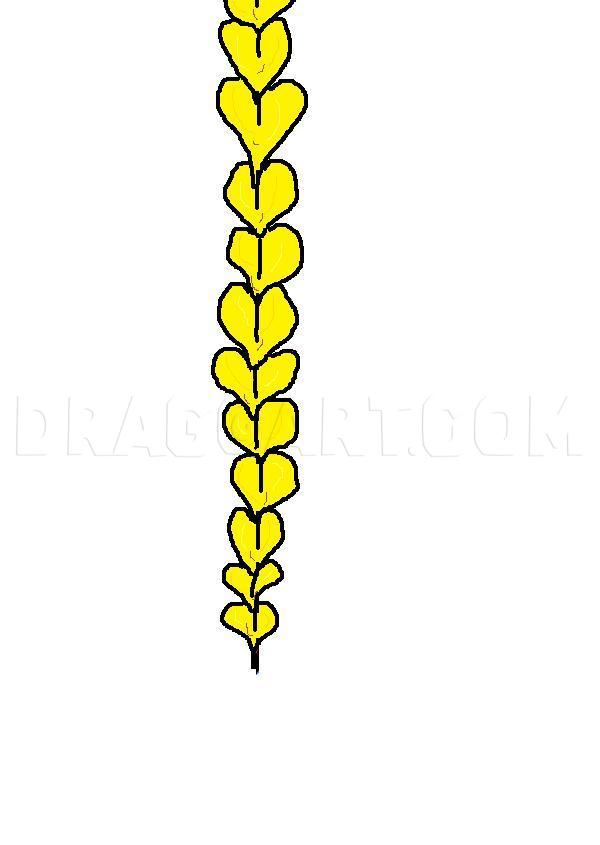 How to Draw Cartoon Braids