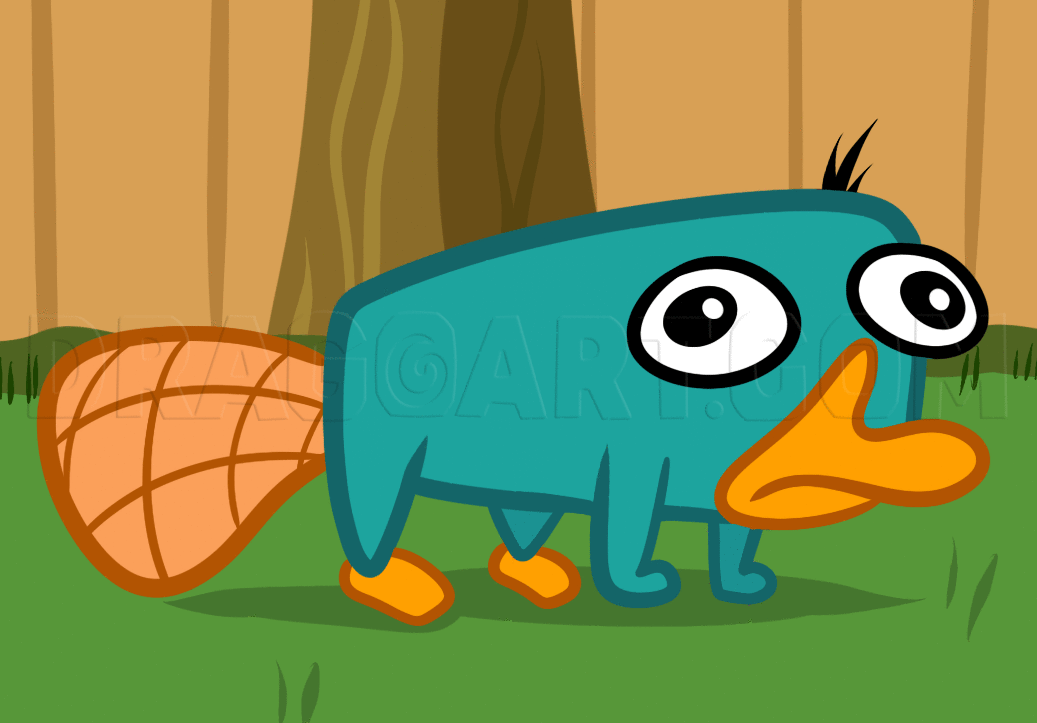 platypus drawing