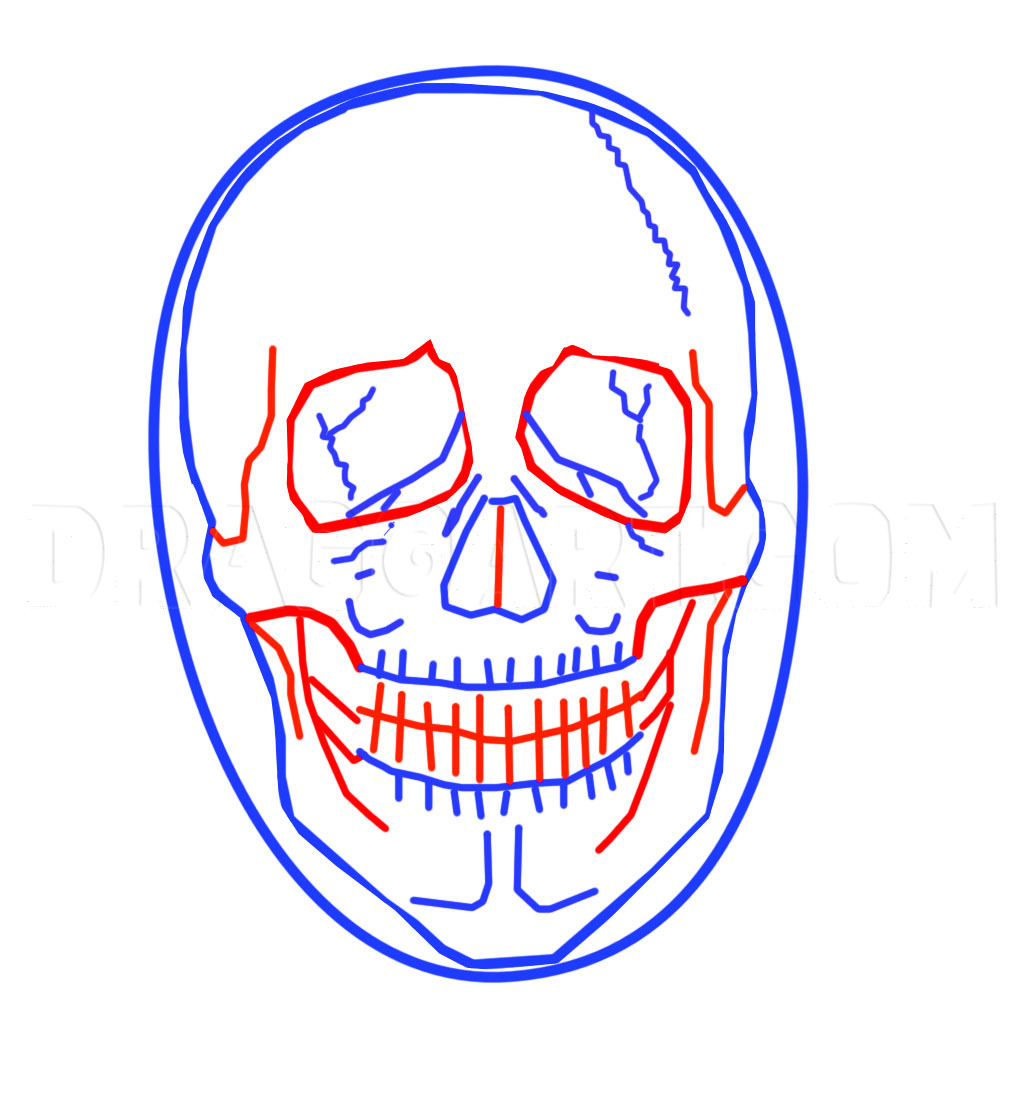 How To Draw A Realistic Skull by Ferrrch | dragoart.com