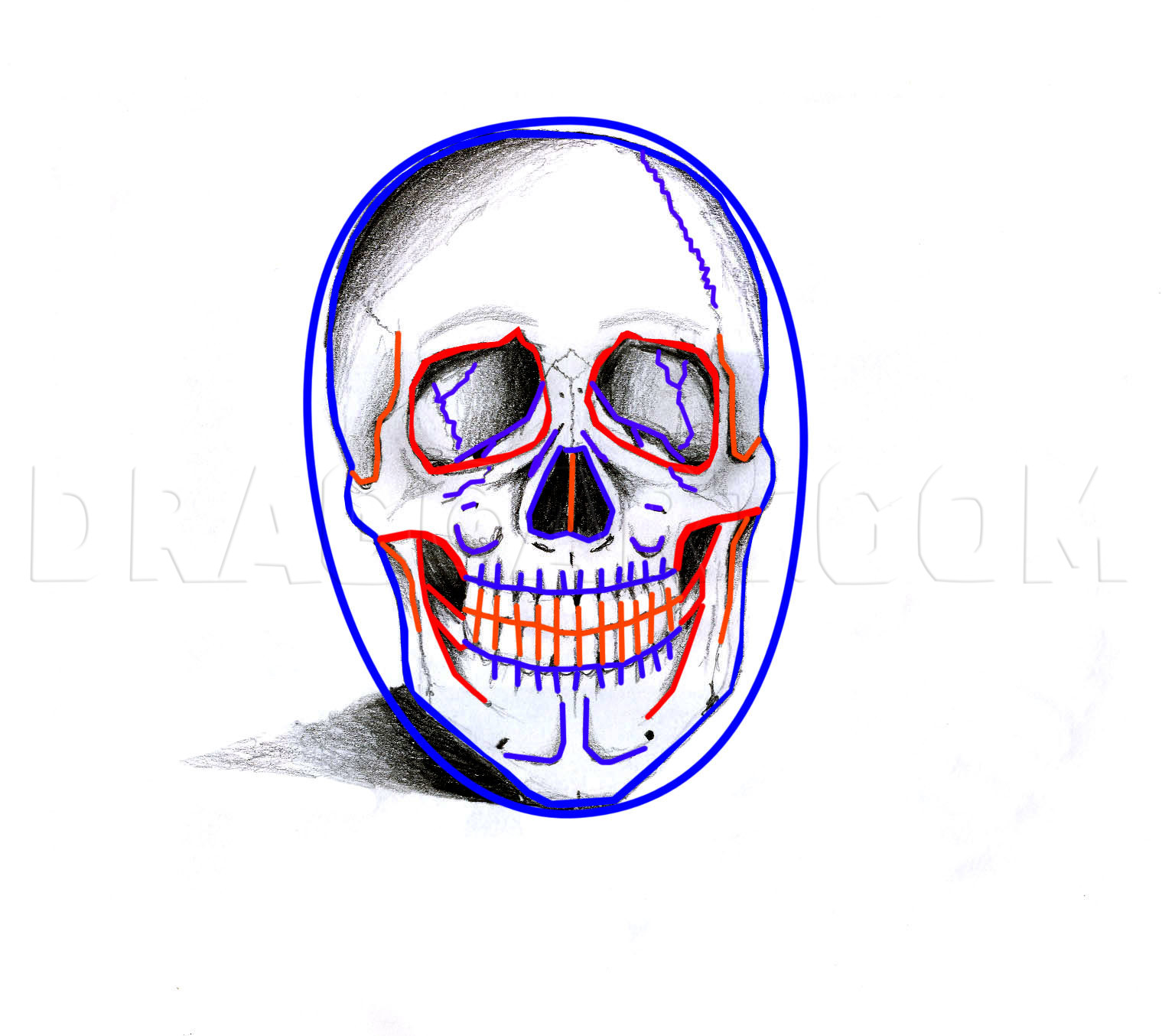 How To Draw A Realistic Skull, Step by Step, Drawing Guide, by Ferrrch