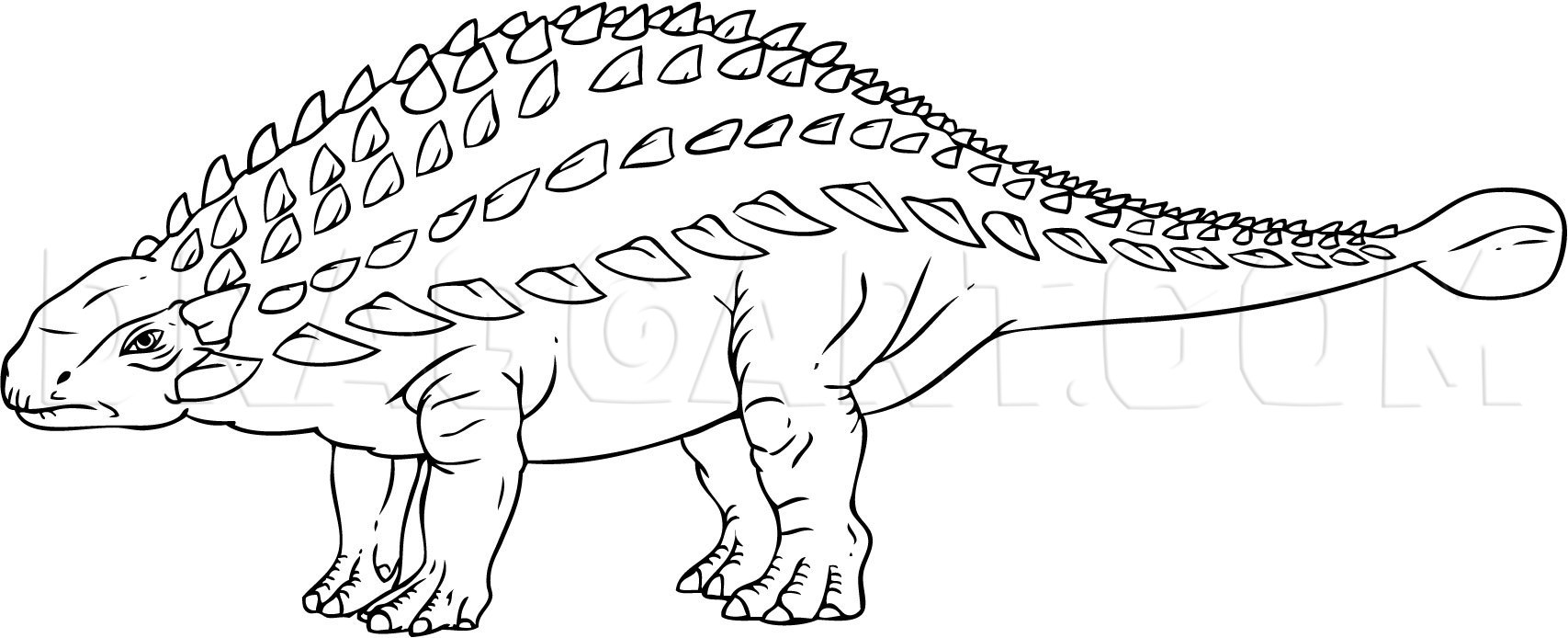 Ankylosaurus Drawing