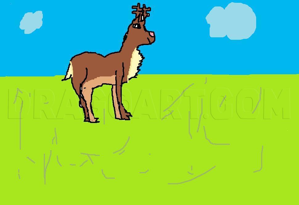 How to Draw a Buck
