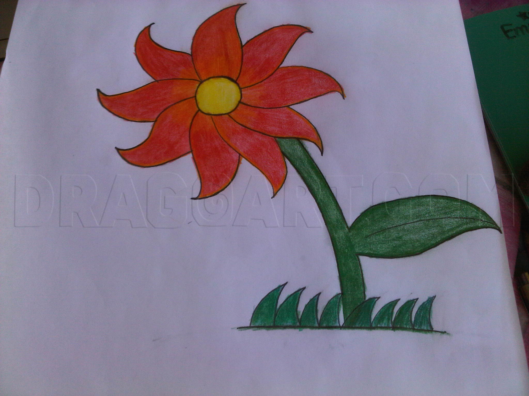 Featured image of post Flower Drawing Images With Colour Easy - If you like coloring, this one is so much fun too!