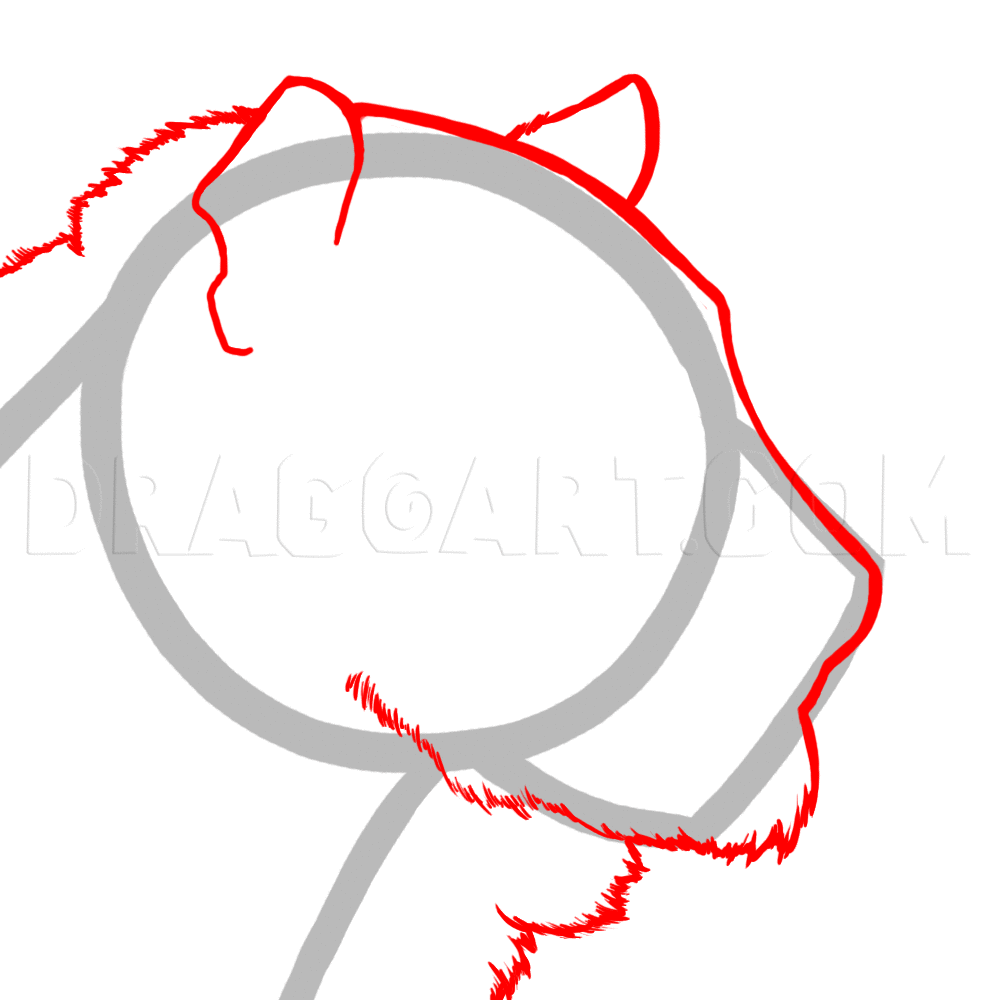 how to draw a tiger head side view