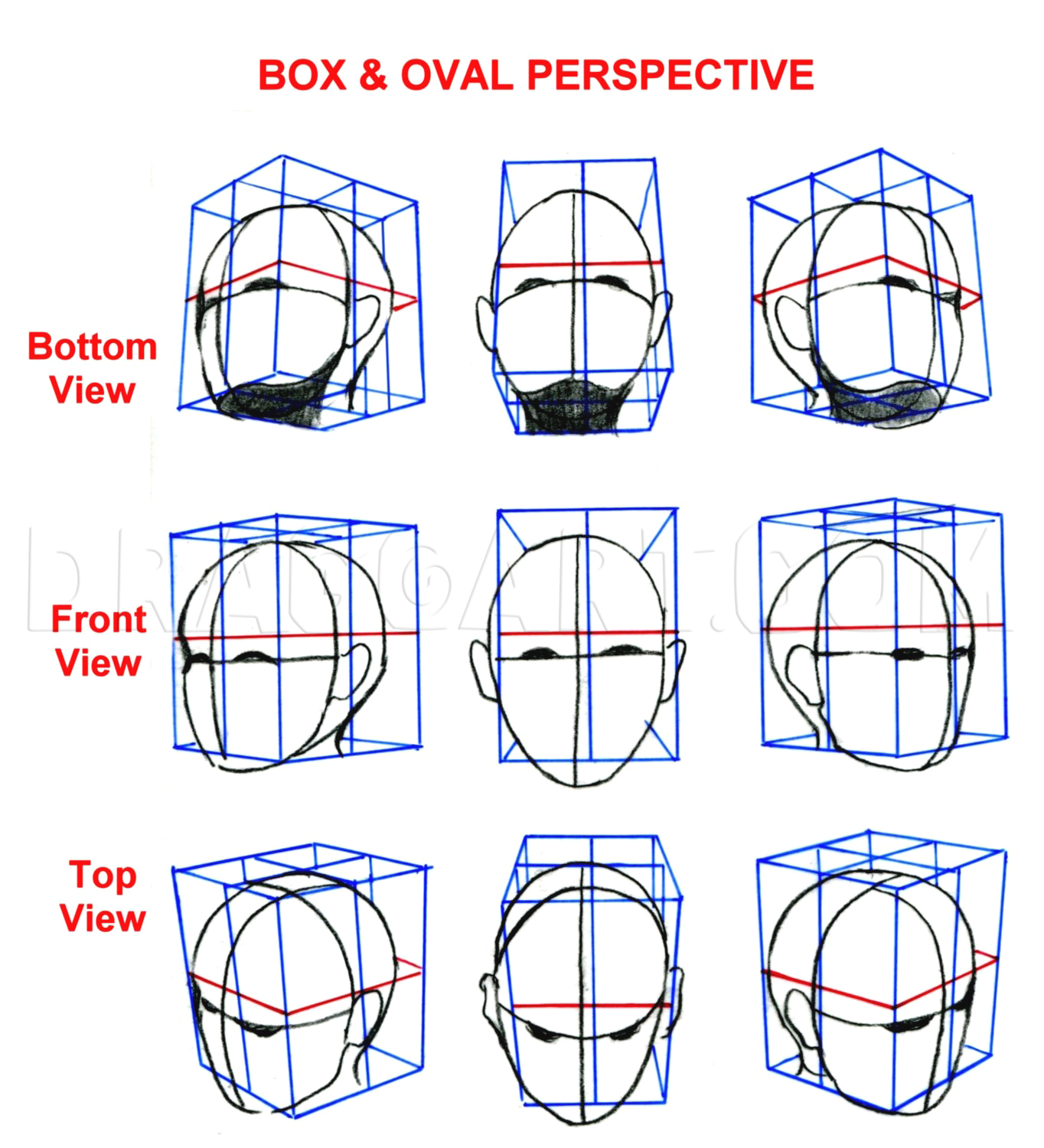 How To Sketch An Anime Face, Step by Step, Drawing Guide, by catlucker -  DragoArt