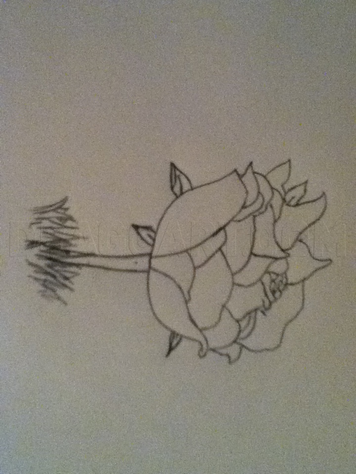 How to sketch a realistic rose