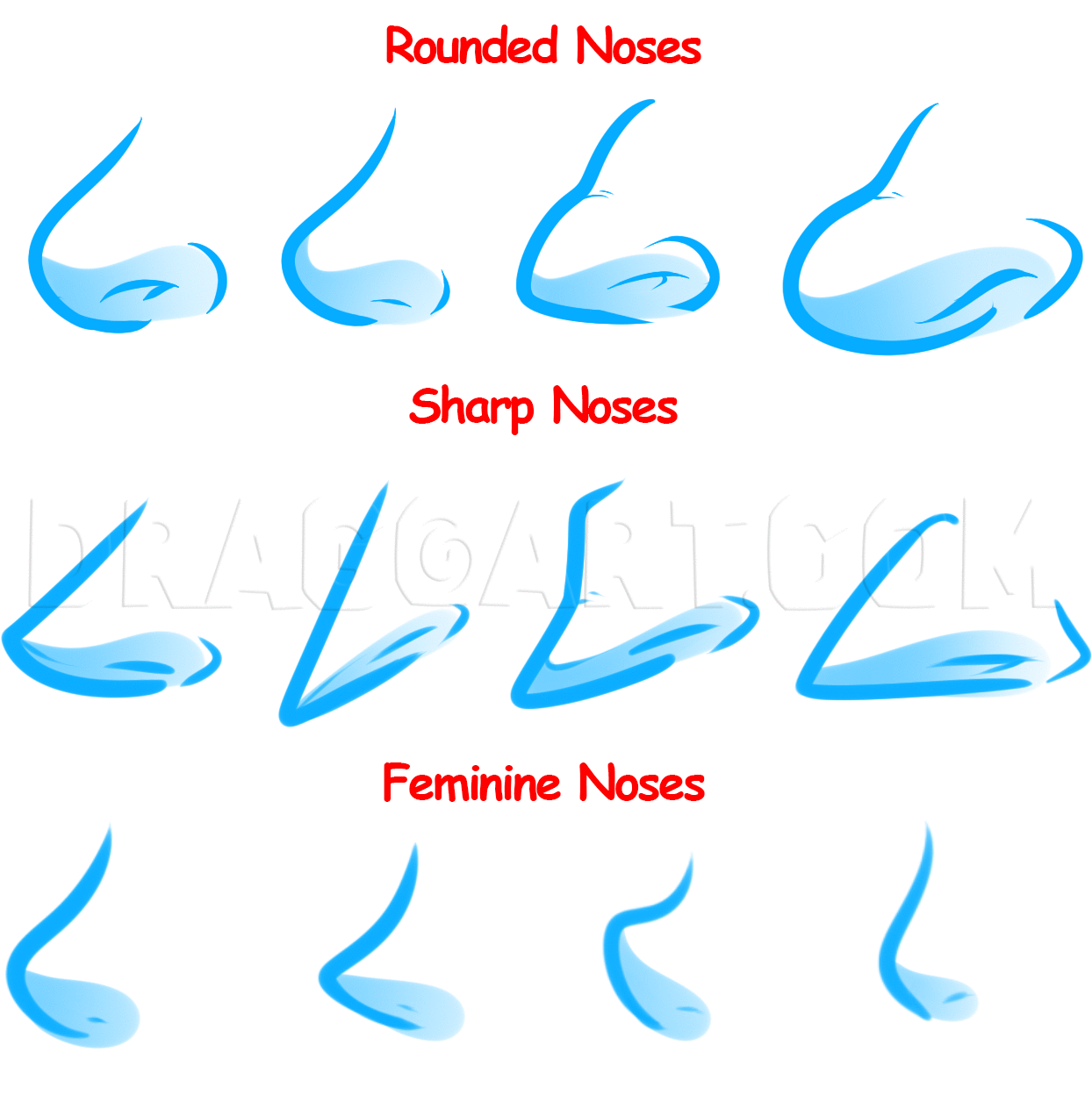 Nose drawing step 2024 by step