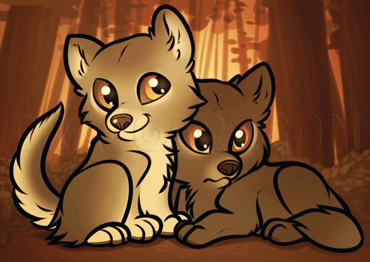 Wolf Pup Drawings