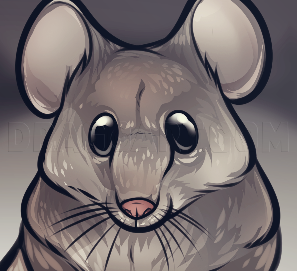 How To Draw A Mouse Face, Step by Step, Drawing Guide, by Dawn DragoArt