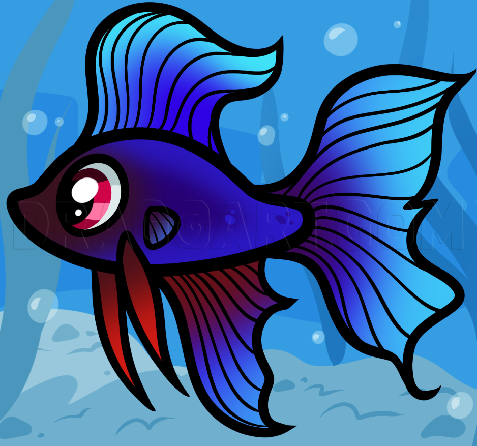 betta fish illustration