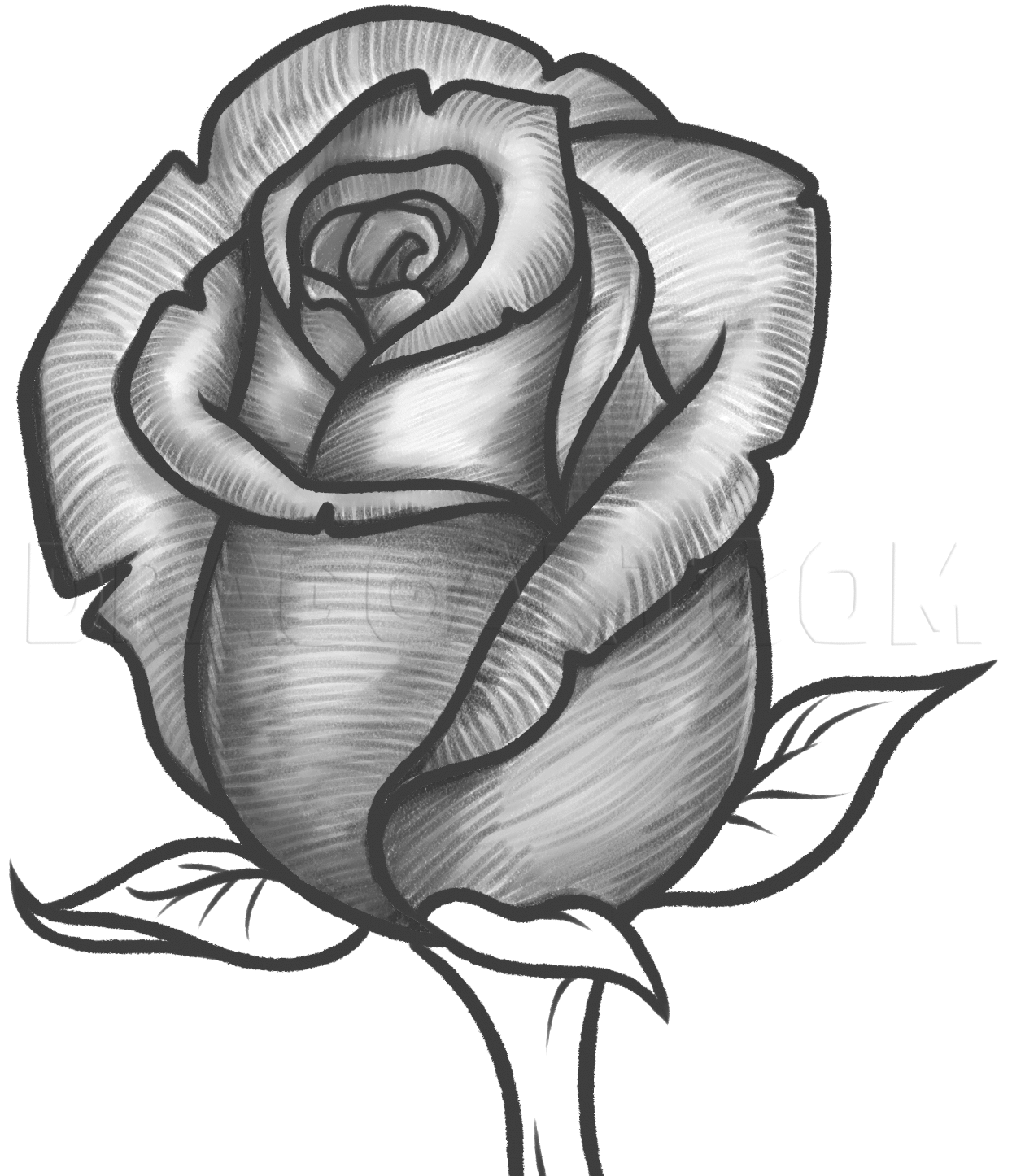 How To Draw A Rose Bud, Rose Bud, Step by Step, Drawing Guide, by Dawn