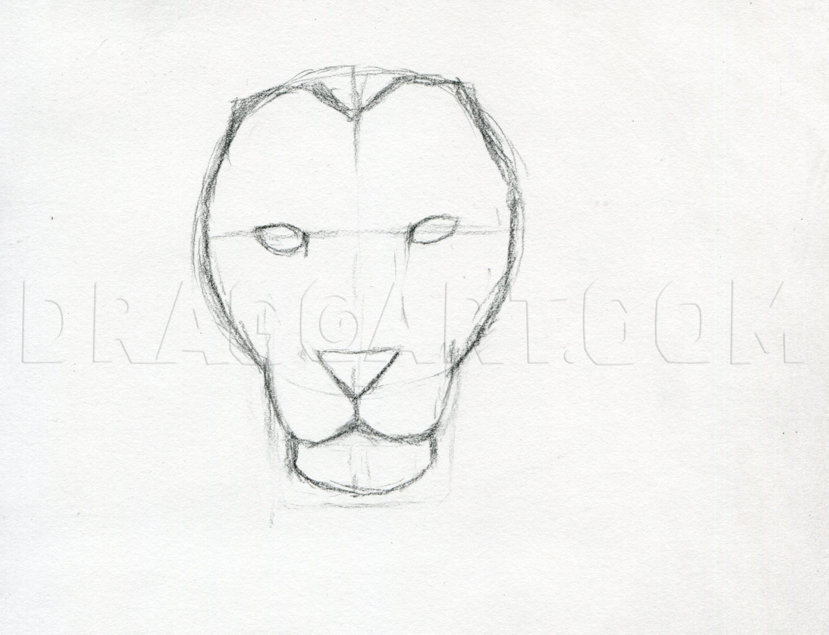 How To Sketch A Lion Step By Step Drawing Guide By Finalprodigy Dragoart Com