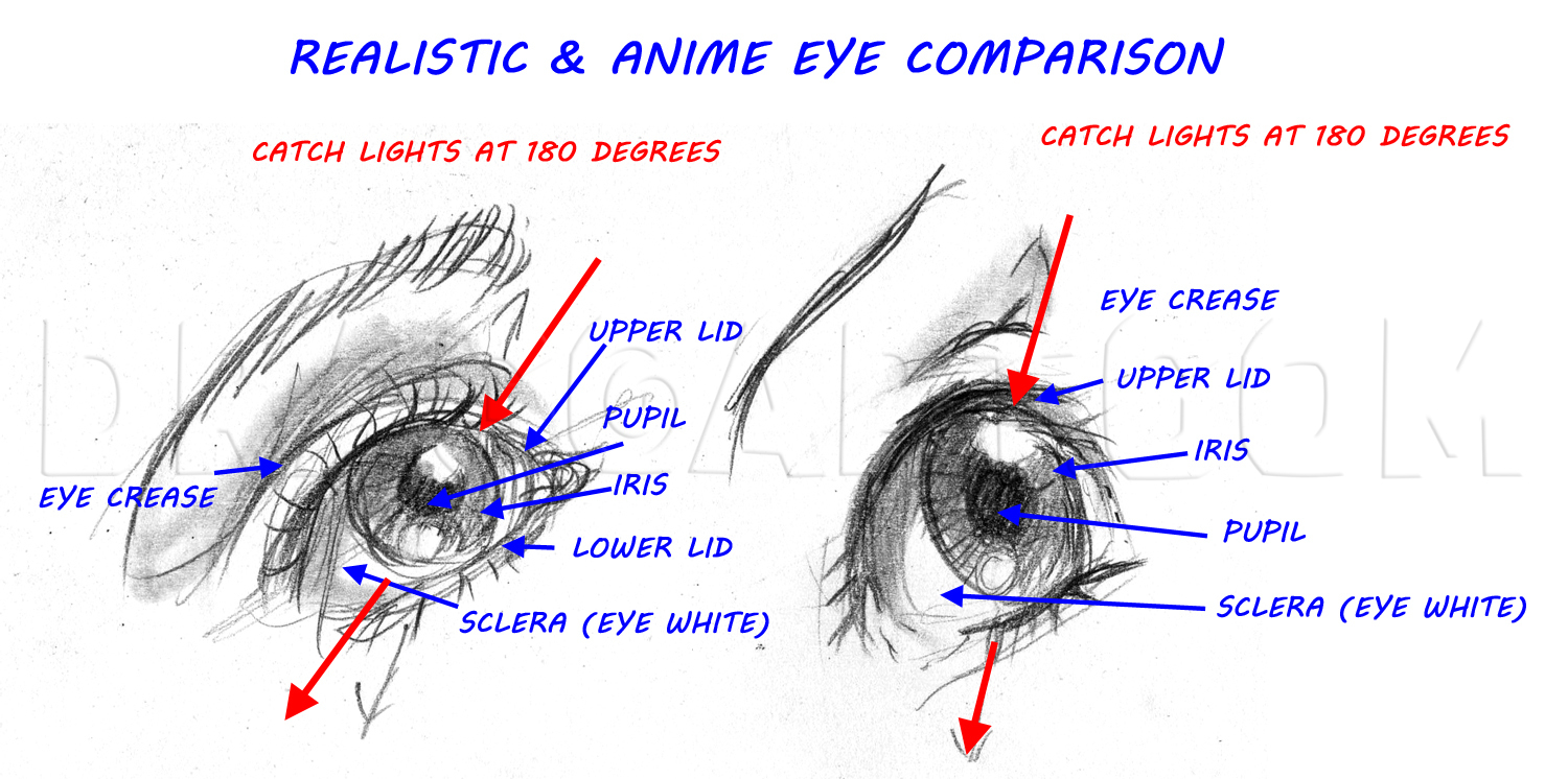 How to Draw Anime Eyes - FeltMagnet