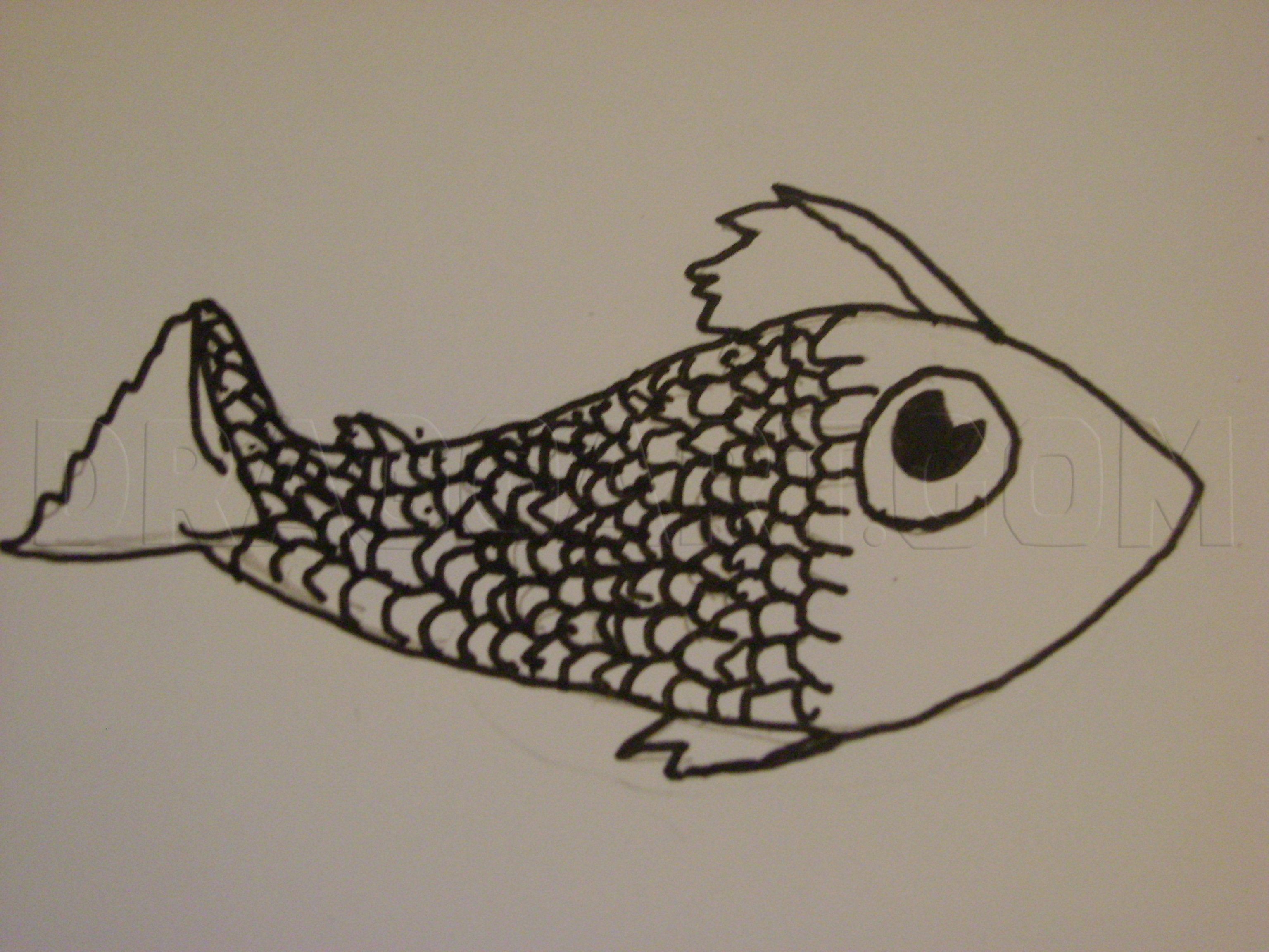 How to Draw a Cartoon Fish