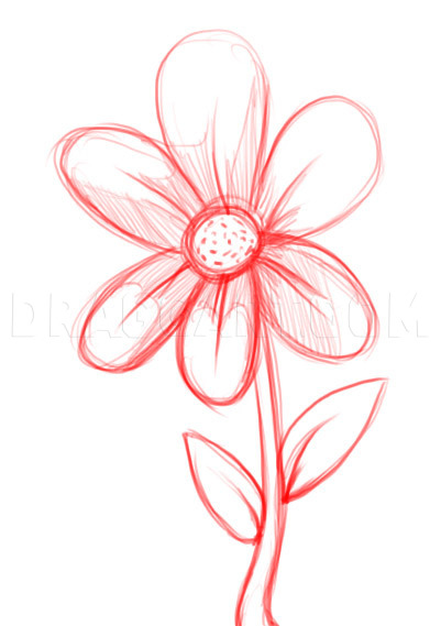 simple flower drawing outline