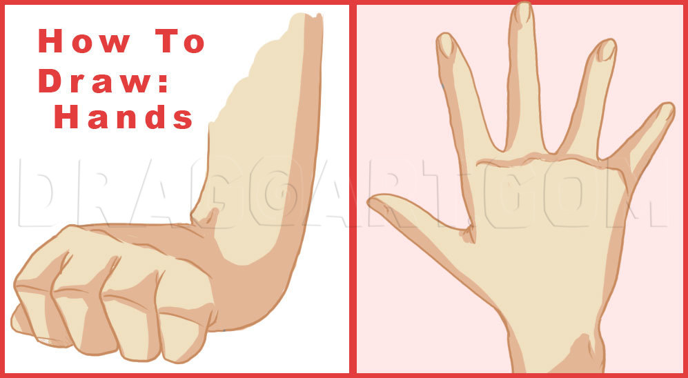 Hand Tutorial  Drawing anime hands, Anime drawings tutorials