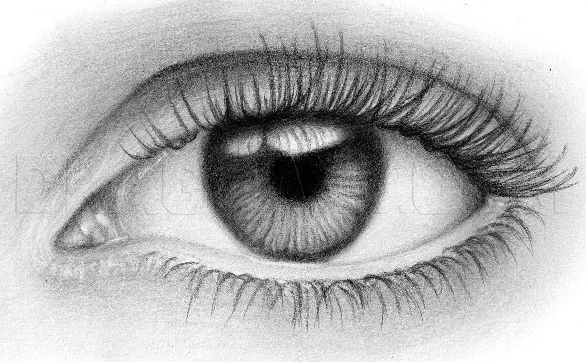 How To Sketch An Eye, Step by Step, Drawing Guide, by quynhle ...