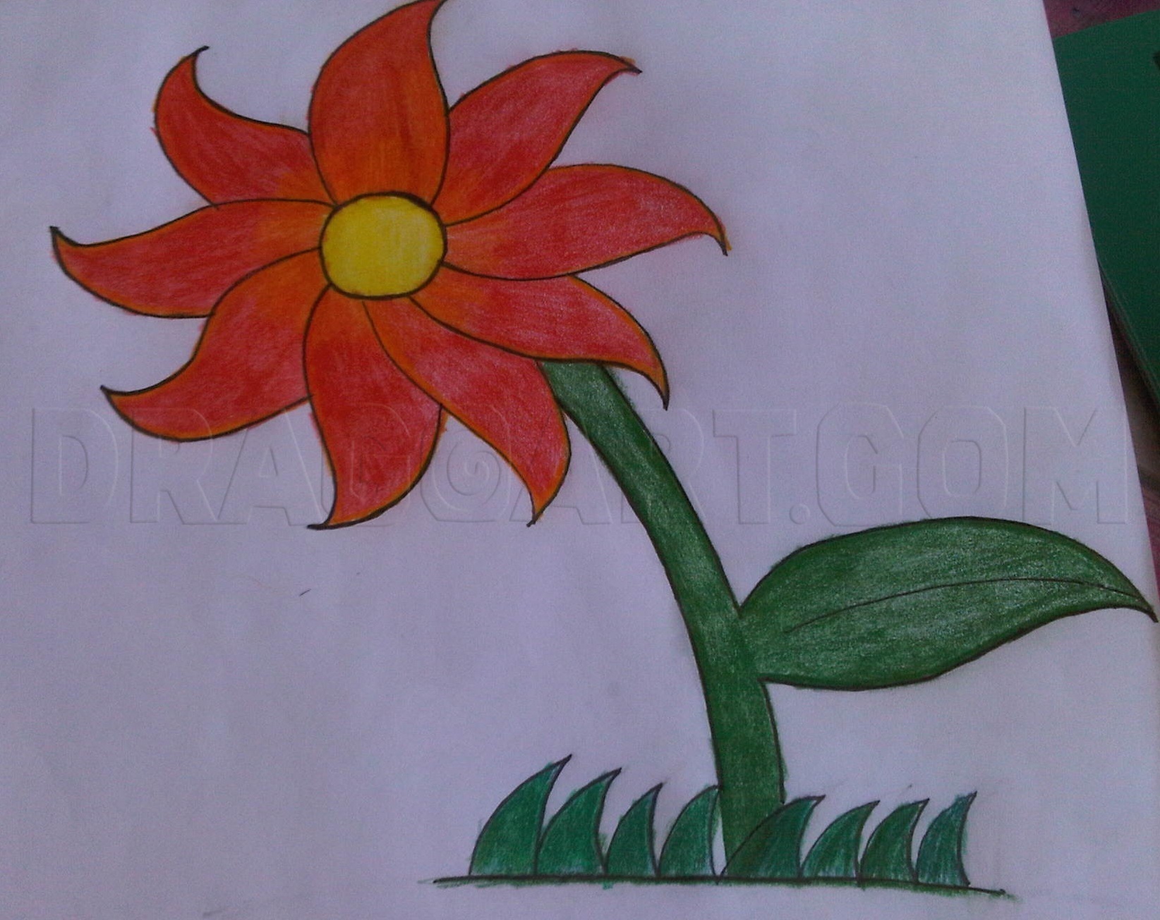 how-to-draw-a-flower-easy-tutorial-made-with-happy