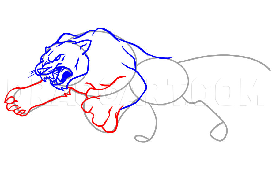 how to draw a panther paw