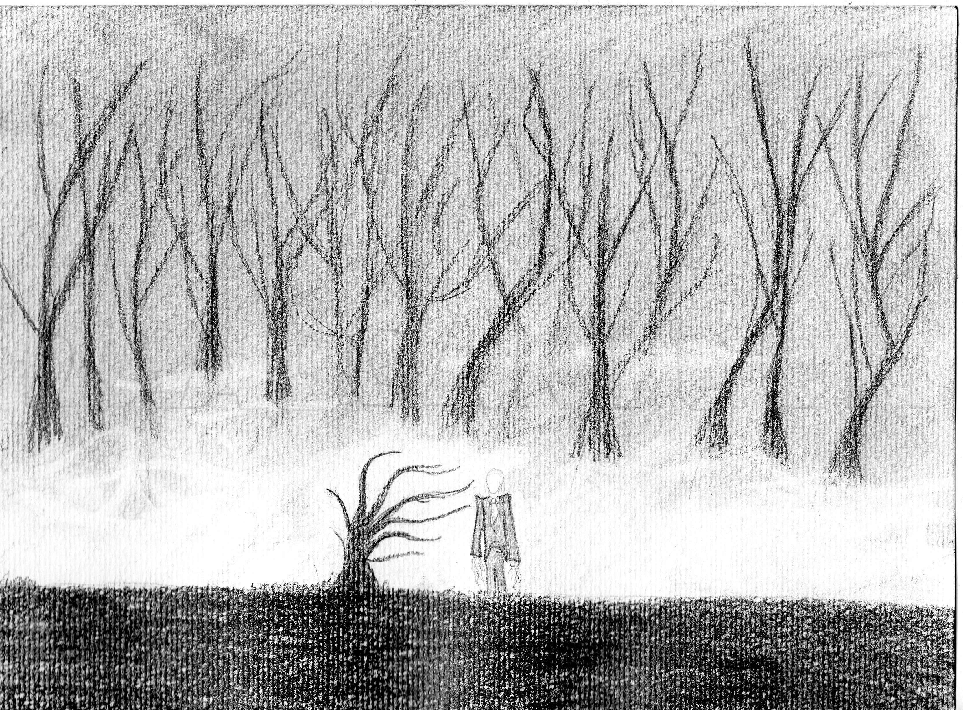 dark scary forest drawing