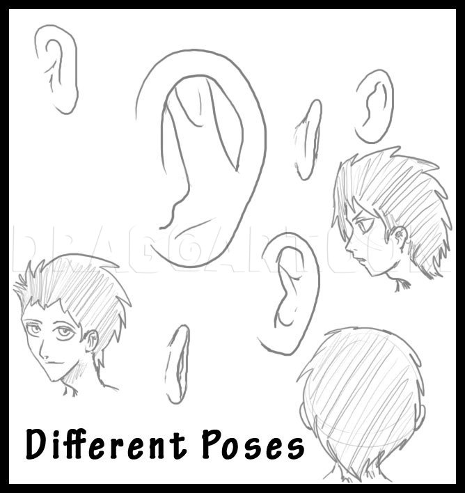 How to Draw an Ear Step by Step - Side View