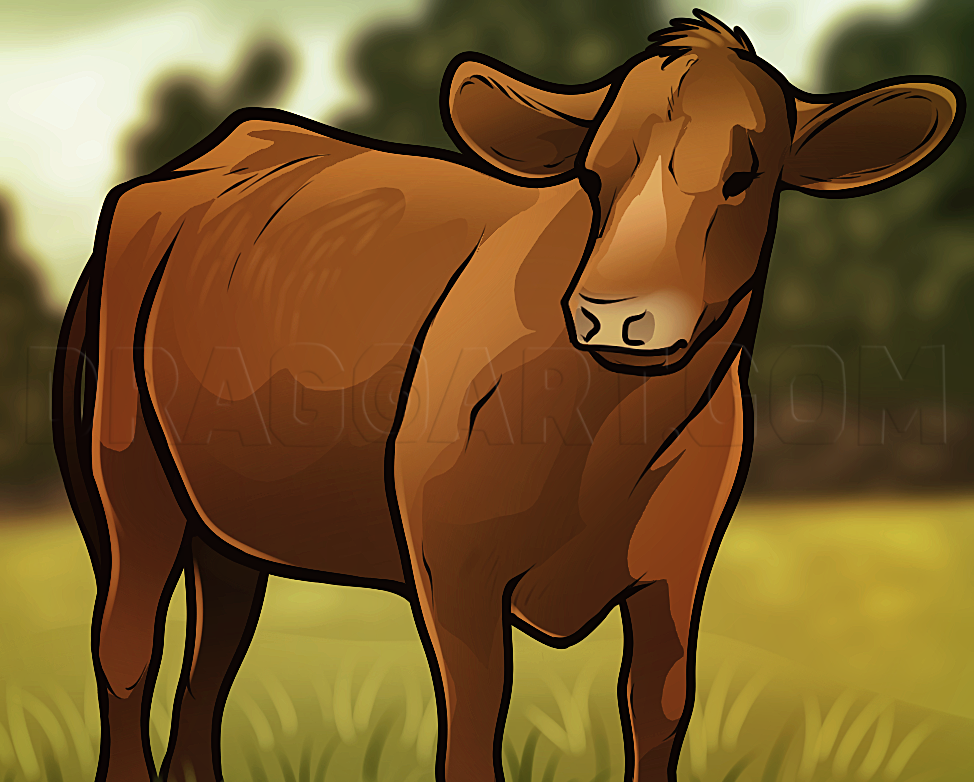 How to Draw Cattle