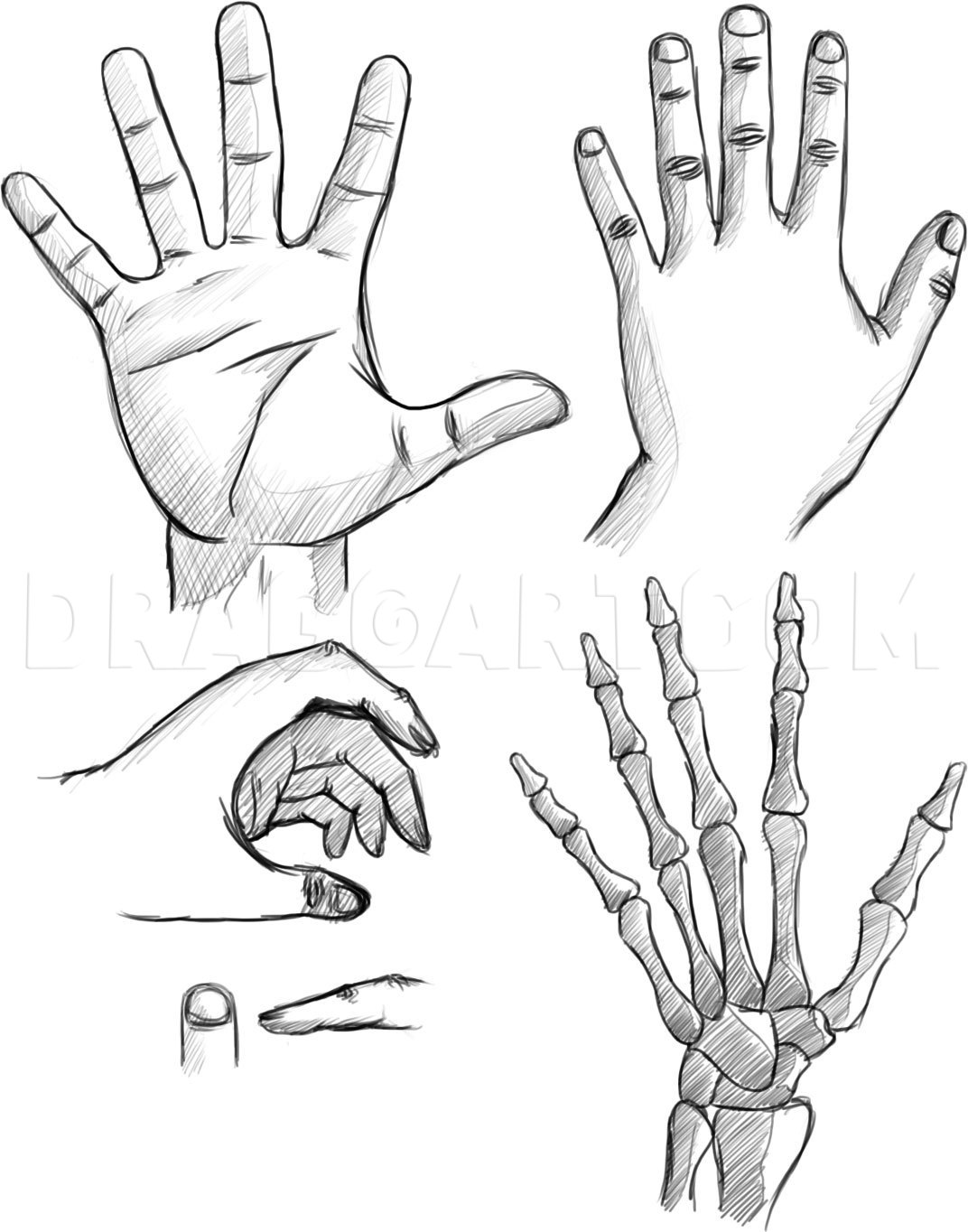 How To Draw Hands Step By Step Drawing Guide By Dawn Dragoart Com