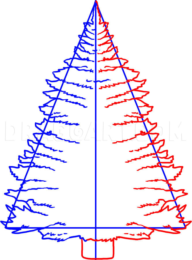How To Draw A Pine Tree, Step by Step, Drawing Guide, by Dawn - DragoArt