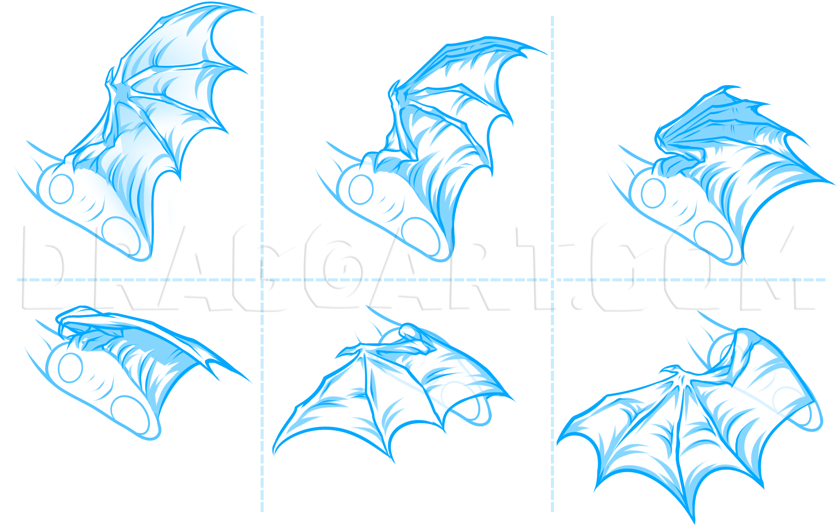 How To Draw Dragon Wings Step by Step Drawing Guide by Dawn