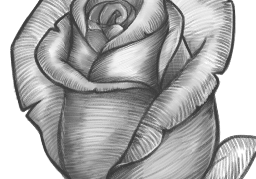 How To Draw Roses Trending Difficulty Any Dragoart Com