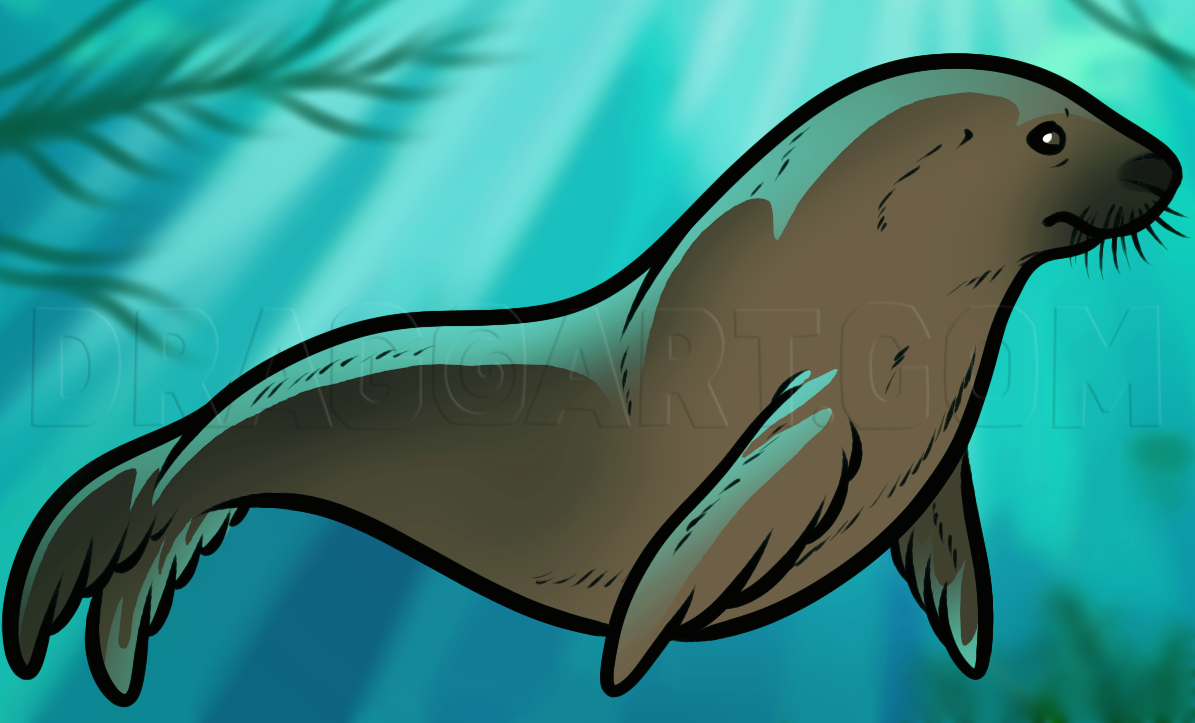 How To Draw A Sea Lion, Sea Lion, Step by Step, Drawing Guide, by Dawn